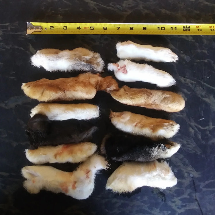WFP Rabbit Feet