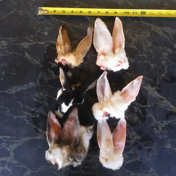 WFP Ears