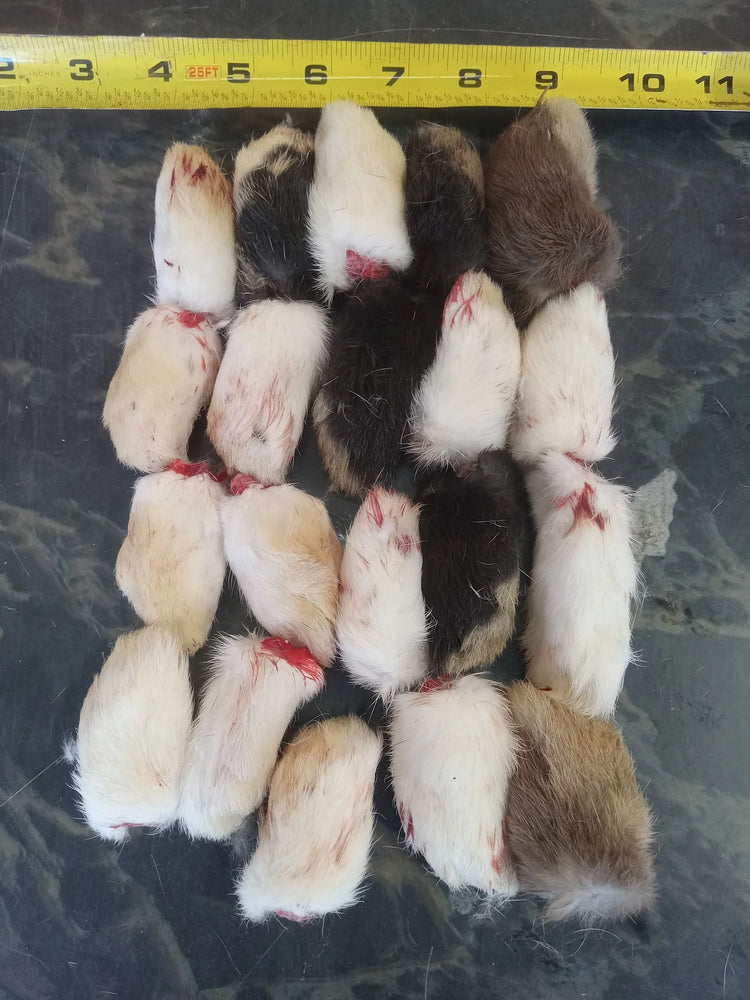 WFP Rabbit Feet