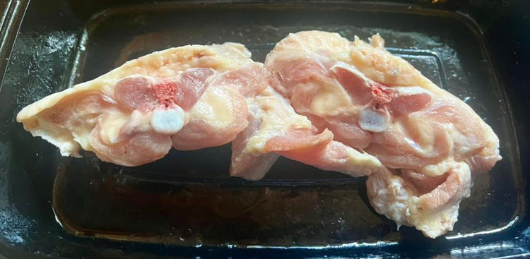 Turkey Tails